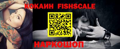 крисы Шебекино