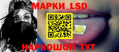 крисы Шебекино