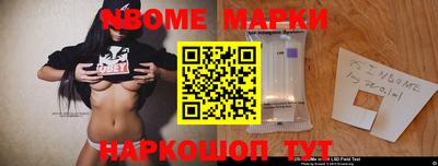 крисы Шебекино